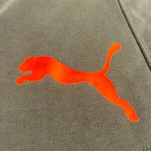 Puma Dry Cell Shorts Mens S Forest Green with Orange logo NWT